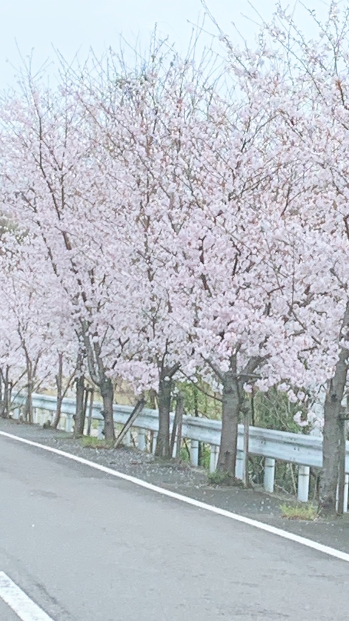 癌患者の集い