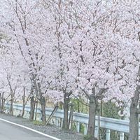 癌患者の集い