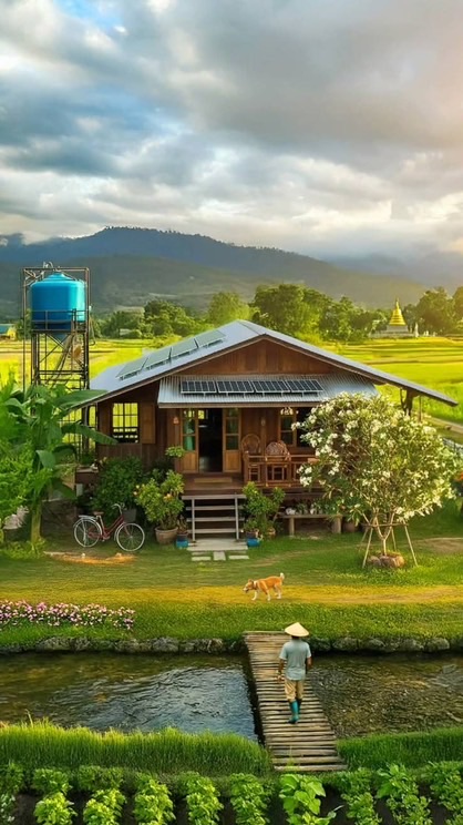 บิ๊กไบร์ท ฟาร์ม