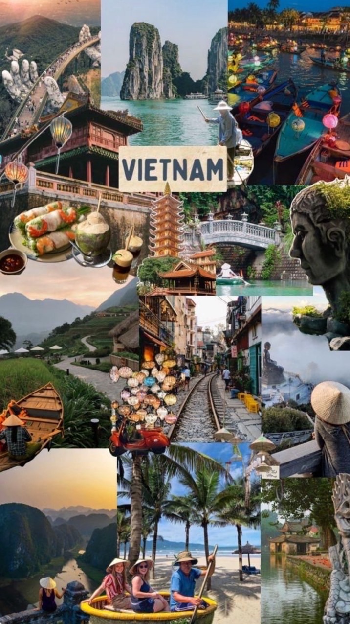 Vietnam🇻🇳越南交流群