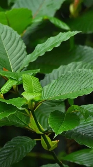 DuBai🇦🇪
