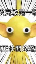 努菇誰呦