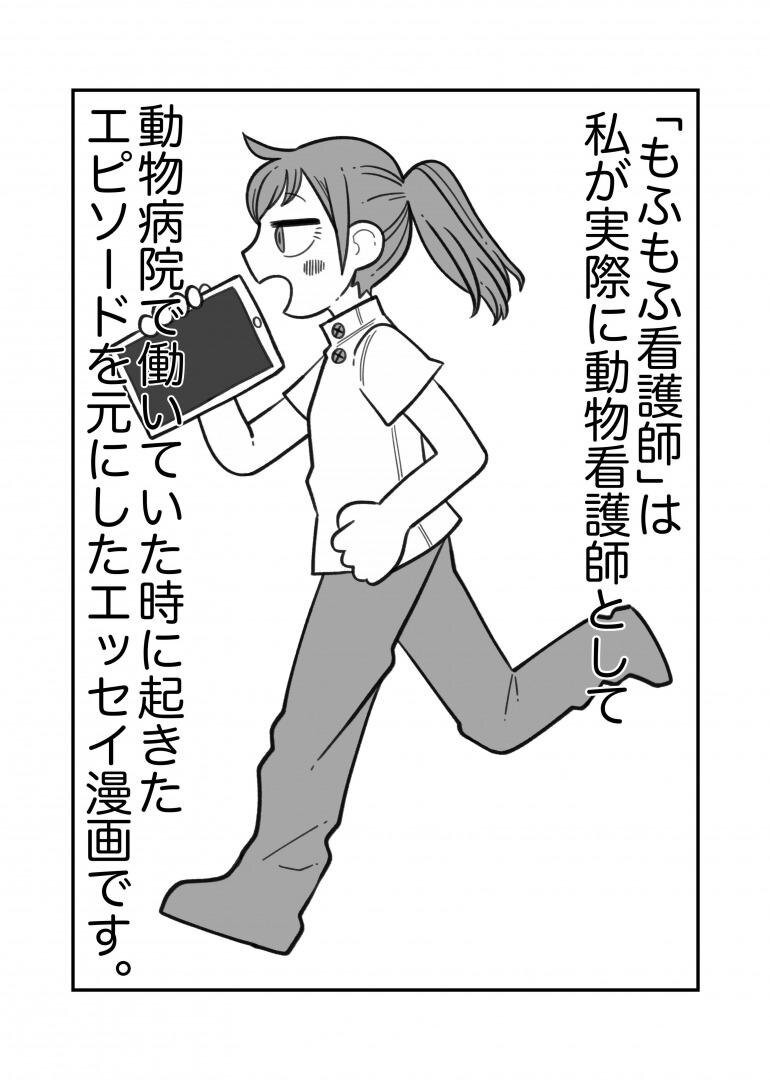 漫画 動物看護師の仕事って 言葉が通じない動物やクセのある飼い主と接する大変さを描く もふもふ看護師 ウォーカープラス