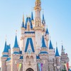 迪士尼Disney/三麗鷗Sanrio/Jelly Cat 分享買賣交易