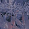 JISMDS恋愛しよ！告白制