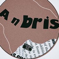 Anbris house