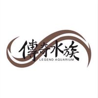 傳奇水族-水族、爬蟲、寵物、水族用品、活體交流群