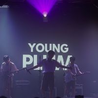 YOUNGPLUM Talk