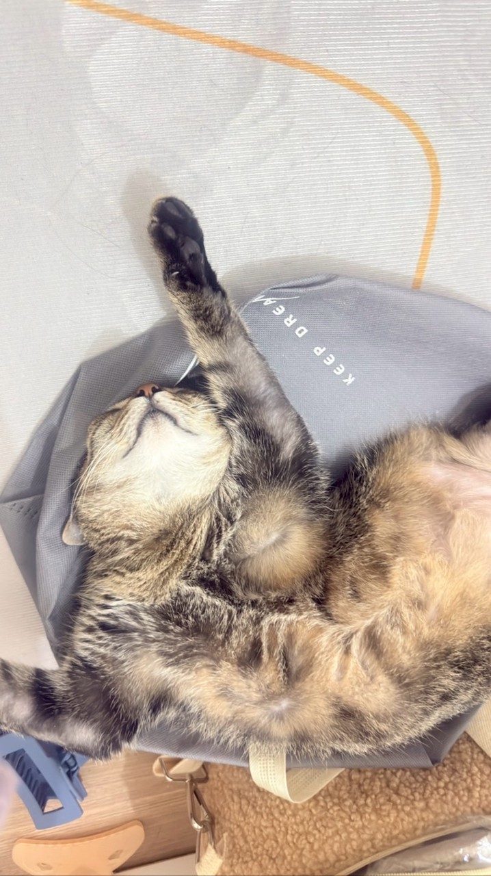 好市多代購✨