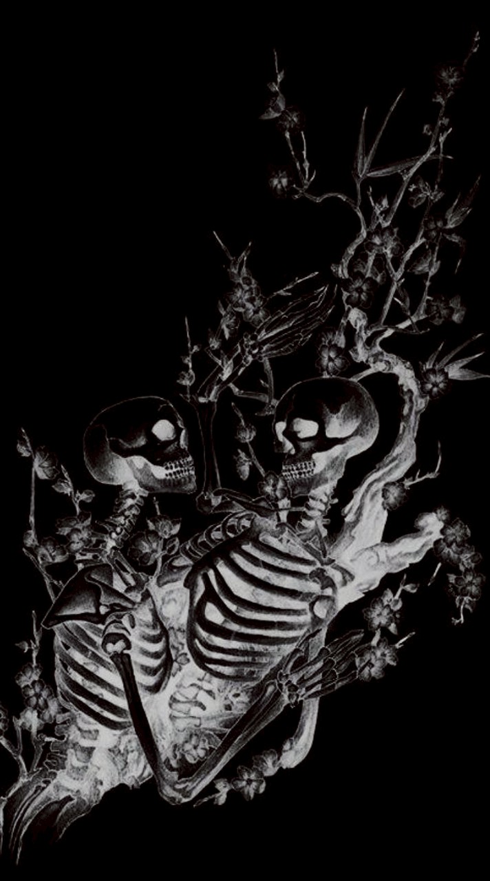 **         薔薇       ❥･