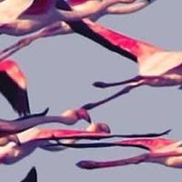 Deftones/デフトーンズ