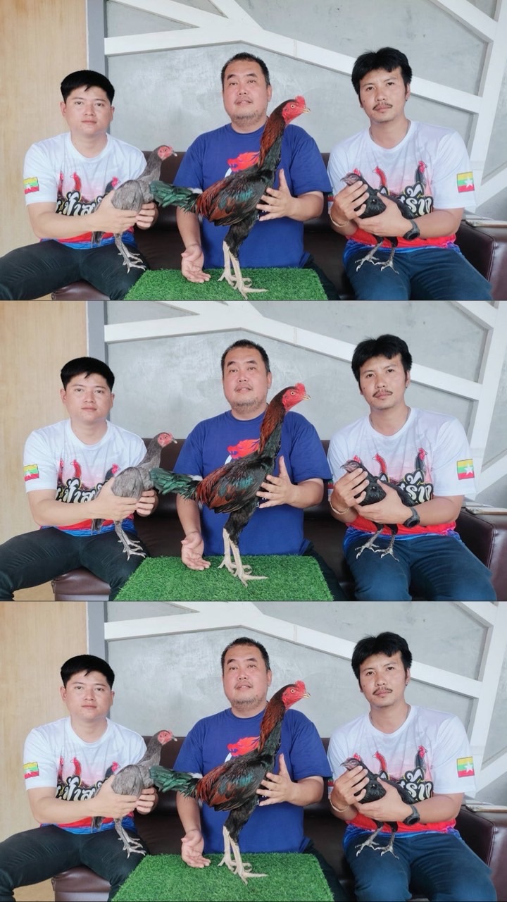 ส.ฟ้าสร้าง M&B ฟาร์ม