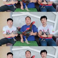 ส.ฟ้าสร้าง M&B ฟาร์ม