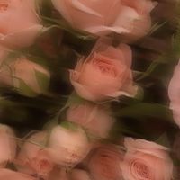 𝜗𝜚   ～   全 緩 也 の 都   〜   𝜗𝜚