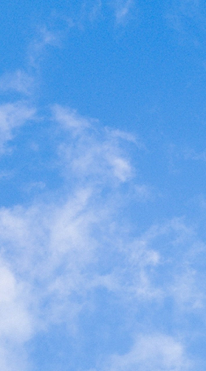 熊本県 シール情報交換しよ‼️