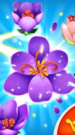 【blossom blast】ブロッサムブラストやってる人集まれ〜‼️