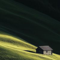 The Startup Cult