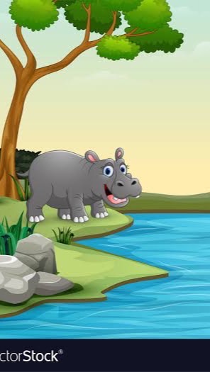 DTW65-Hippo