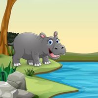 DTW65-Hippo
