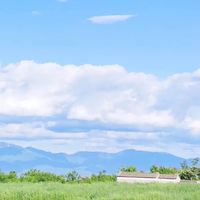 gornja.com