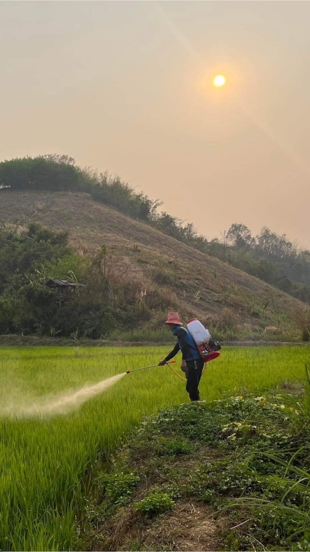 จุลินทรีย์ Ultrasoil