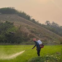 จุลินทรีย์ Ultrasoil