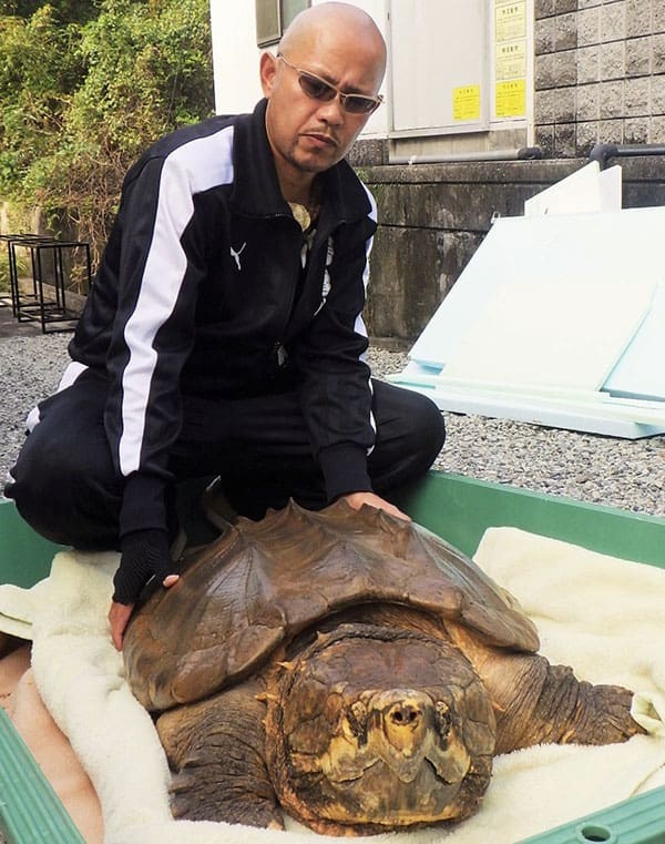 志村どうぶつ園 にも登場 5mのヘビに咬まれた男 血の海になっちゃったよ