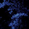 あくねこ激緩‼️‼️