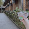 渡鴉拆團