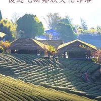 優遊吧斯鄒族文化部落