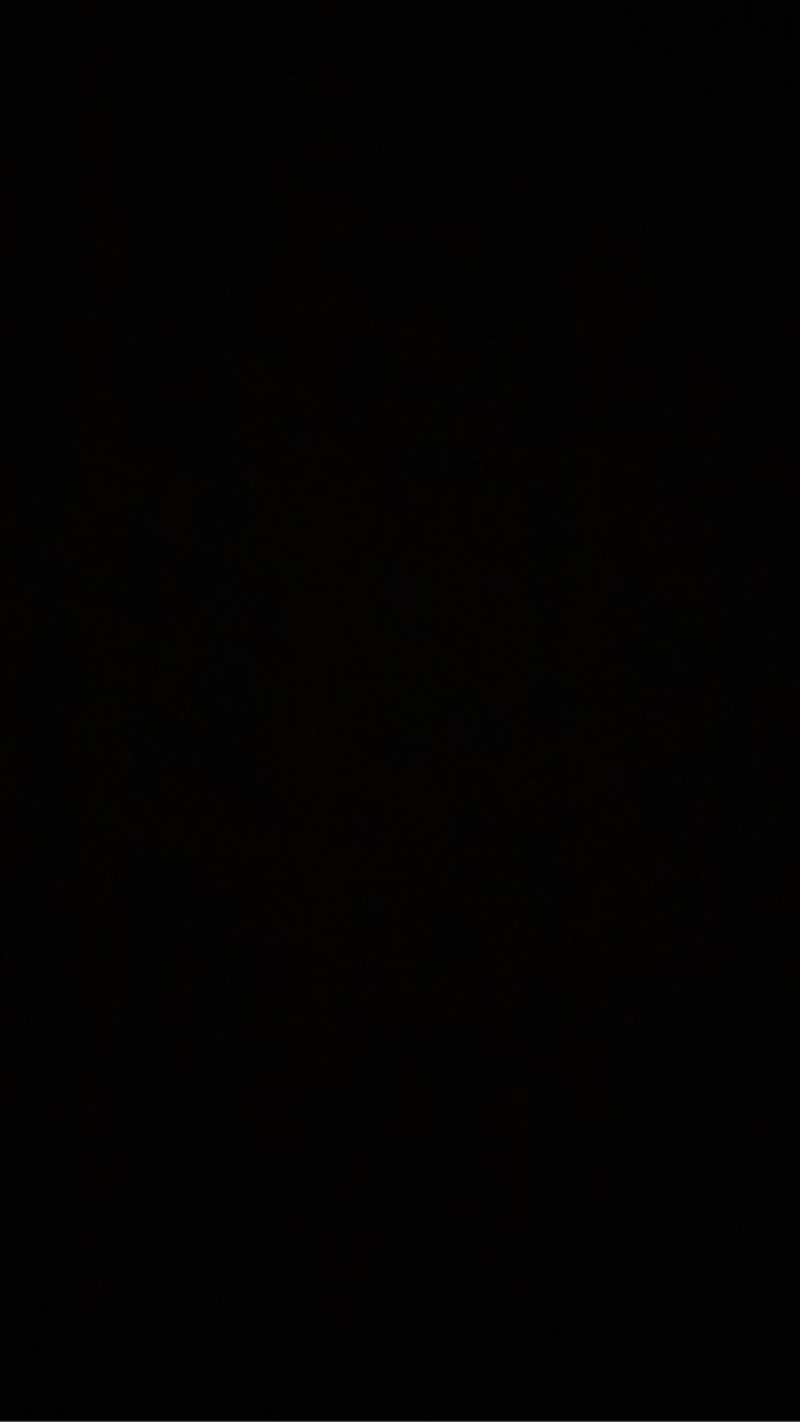 ボノボノ連絡会議