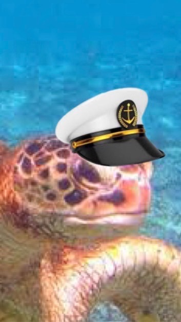 たまりゅう部下班