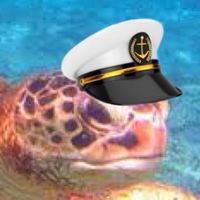 たまりゅう部下班