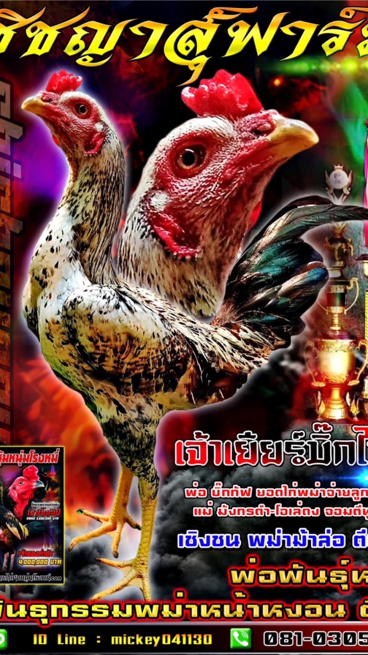 🌿🌿ชิชญาสุ์ ฟาร์ม🐣🐥🐔