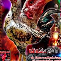 🌿🌿ชิชญาสุ์ ฟาร์ม🐣🐥🐔