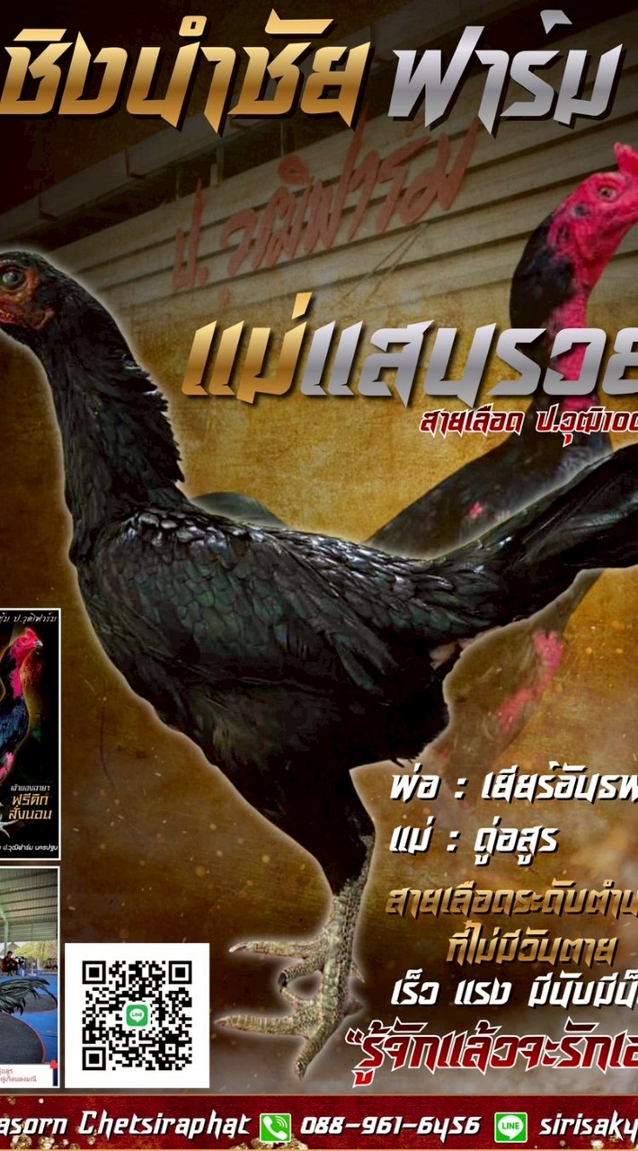 ชิงนำชัยฟาร์ม