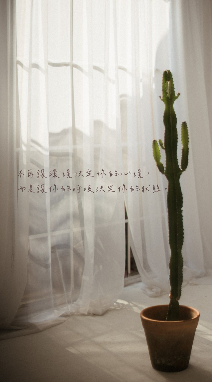失眠療癒（公益瑜伽）♡