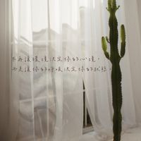 失眠療癒（公益瑜伽）♡