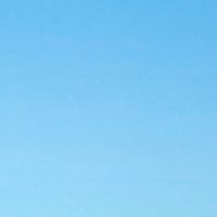 たまひよ🐣2024年3月生まれ/神奈川県🌸