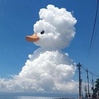 青春しようぜ！ライブトーク！雑談！恋バナ！勉強！わいわい！ゲーム！