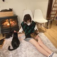 めぇぇぇざえもん