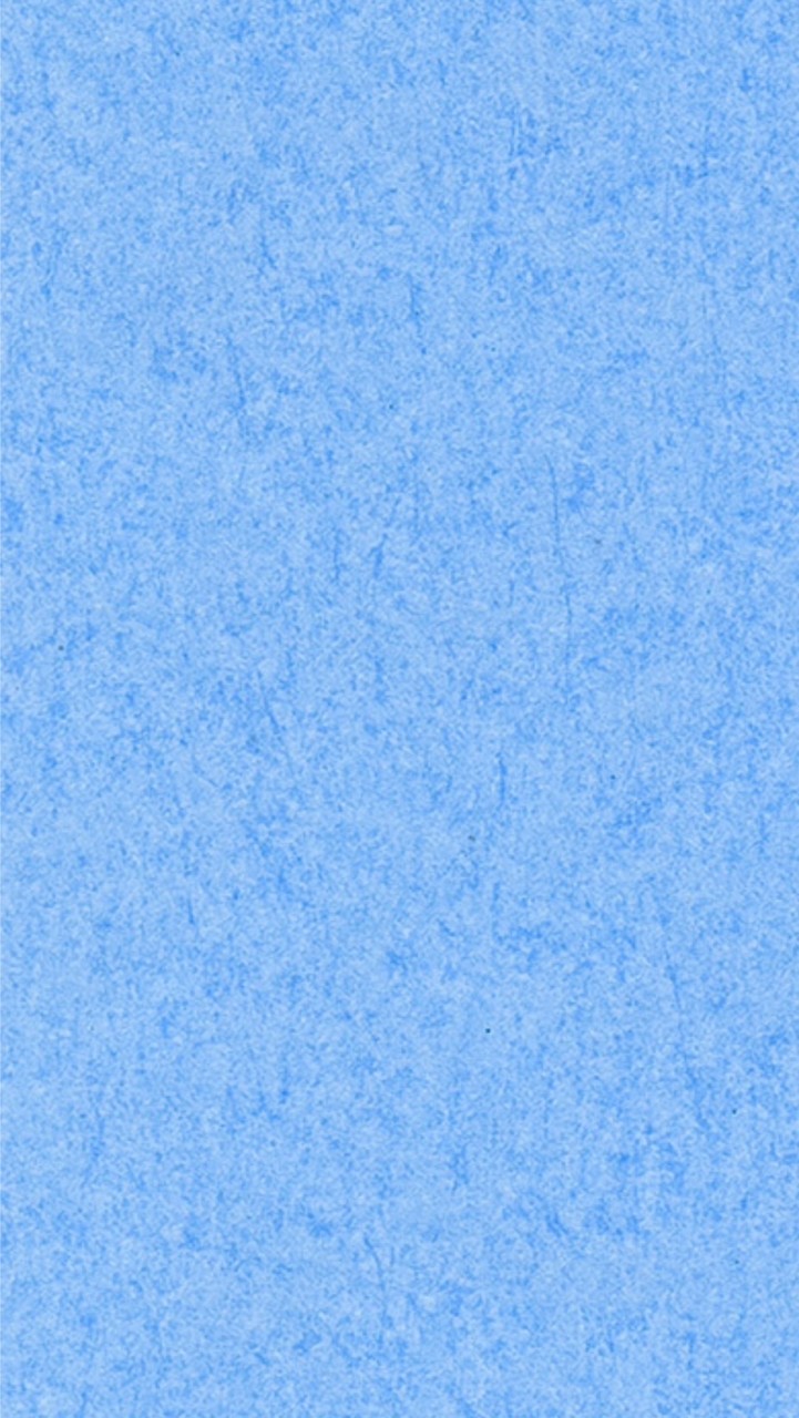 バジェ試合用