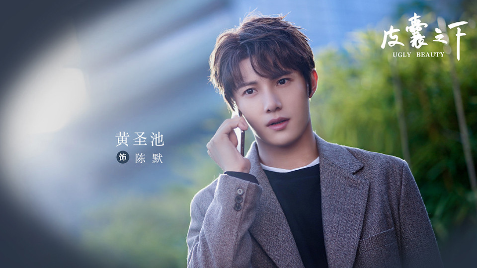 即將上檔的甜寵(愛情)陸劇6：鄭合惠子、黃聖池《皮囊之下》