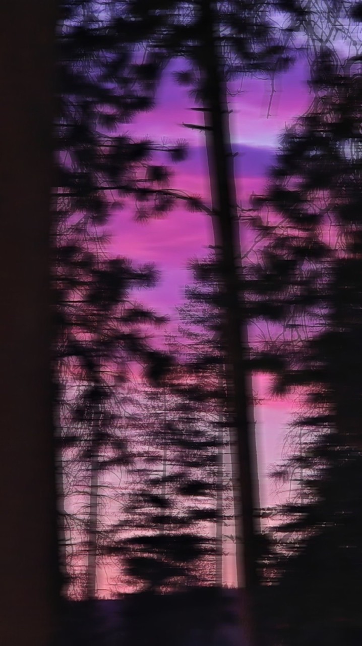 雑談,ライト,なんでもあり‼️