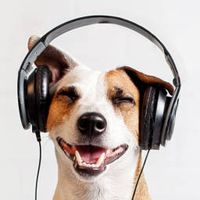🎹🎵洋楽&邦楽の音楽雑談部屋🙂🎼🎶別館🎶お気軽に入室してくださいよ