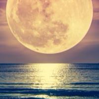 🌕満月のフォーチュン⋆⋆🌙·̩͙‪                50代、60代雑談𝕣𝕠𝕠𝕞恋バナも🤔