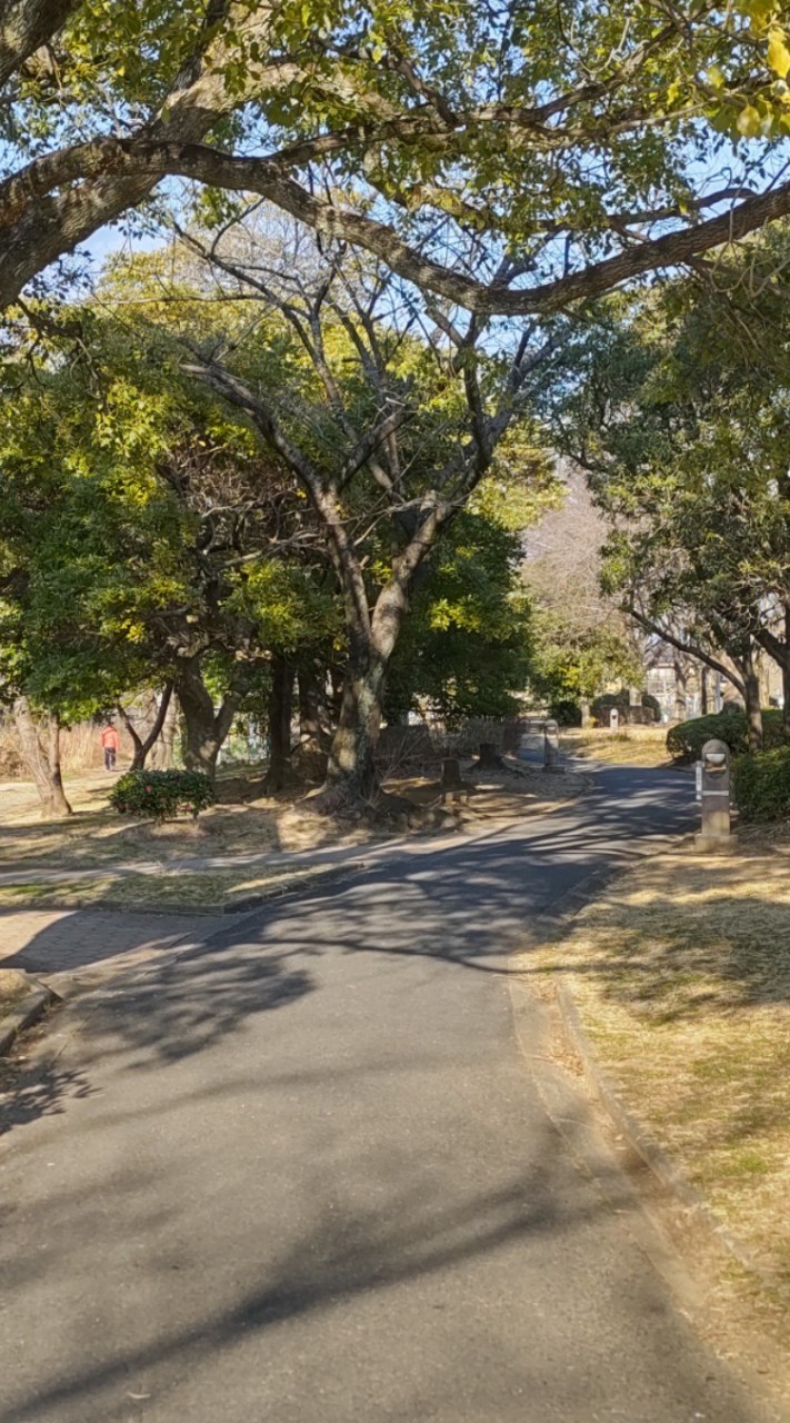 春日井市職員共済会クラブランニング部