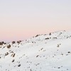 澳洲雪山🏔️VIC