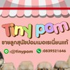 หมาปอมน่ารัก ปอมหน้าหมี ปอมปอม ปอมทีคัพ หมาปอม Tinypom