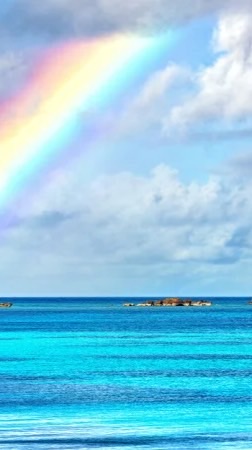 新規おーぷん🫧大人の雑談 ライブトーク